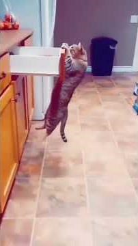 Wee meme compilation #wee #meme