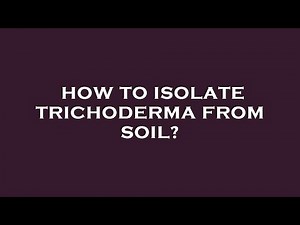How to isolate trichoderma from soil?