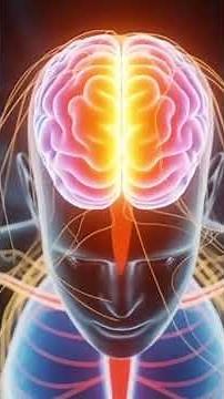 Inside the Human Brain: How It Controls Your Body | 3D Animation