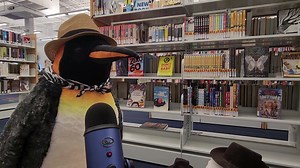 👻🎤🐧 Independent Hill Library's mascot Peek-a-Boo is hitting the road and interviewing mascots from other PWPL branches! Manny from Manassas City Library was kind enough to sit down with Boo for this first interview! | Prince William Public Libraries