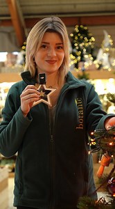 Décorer son sapin, c’est tout un art ! ✨ Mais comment avoir un sapin aussi beau qu’en vitrine ? Harmonie des couleurs, guirlande lumineuse, répartition de la déco etc.. on vous explique tout, étape par étape. Envoyez cette vidéo à quelqu’un qui a besoin d’un petit coup de pouce ! | botanic®