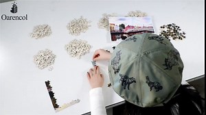 Steam Train Durango Silverton Jigsaw Puzzle Forest Railway Landscape 500 Pieces Puzzles for Adults