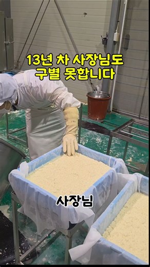 국산인지 수입인지 눈으로 구별할 수 있나요?​13년 차 사장님께 직접 들은 현실적인 답변은 "알 수 없다" 였습니다. 진짜인지 가짜인지 구별할 '꿀팁'이 없다니 충격