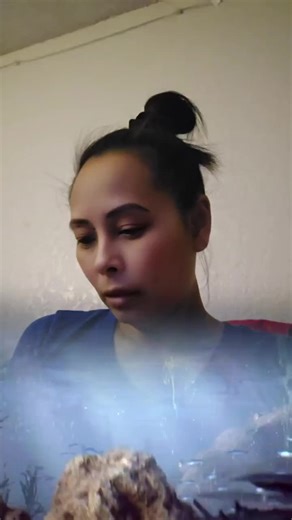 thank you always.... 🐙 octopus TikTok