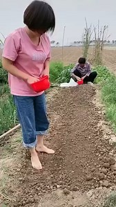 258K views · 469 reactions |  amazing video ever 2022 | Amazing Videos | Facebook