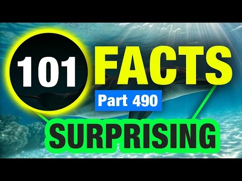 101 Little Known Facts You Didn’t Know