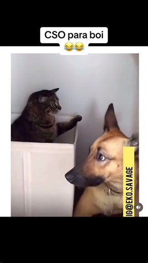 #onthisday #allaboutlaff #ekosavage | onthisday