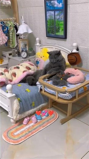 A Loyal Cat, A Happy Family 🐾❤️