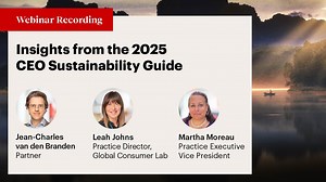 Inside the 2025 Visionary CEO's Guide to Sustainability