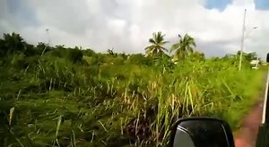 10K views · 98 reactions | More tornado damage along R.E Road, Los Iros #2021LosIrosTornado Details: https://ttweathercenter.com/2021/08/16/the-2021-los-iros-tornado/ | Trinidad and Tobago Weather Center | Facebook