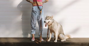 Everything You Need To Know About Travelling In Trains With Pets - ScoopWhoop