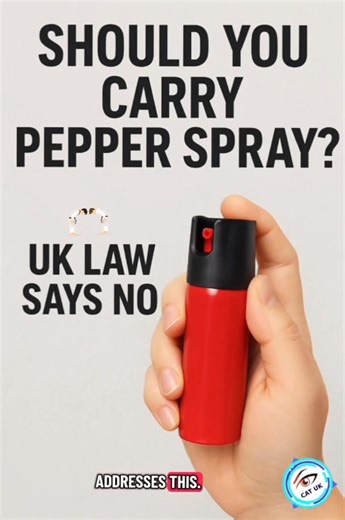 4.8K views · 14 reactions |  Should the public be allowed to carry...