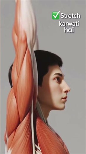 IT band Pain || Pain management || Believe in Therapy || Physiotherapy
