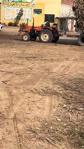 Exploring AI Background Effects in Photo Editing