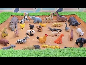 Digging Up the Ancient Treasure of Hoofed and Endangered Animals in Mud