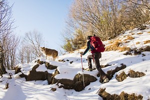 How Cold is Too Cold to Hike? Reading Winter Weather Forecasts for Outdoor Rec