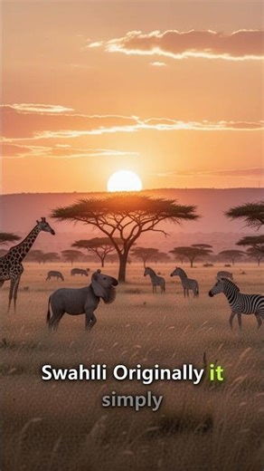 Origin of Safari #Etymology #English #Shorts