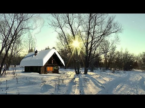 Snowfall Winter | Free Stock Footage | Free HD Video - No Copyright
