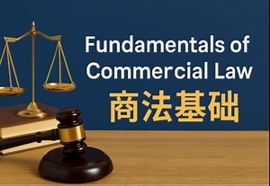 商法基础 Fundamentals of Commercial Law