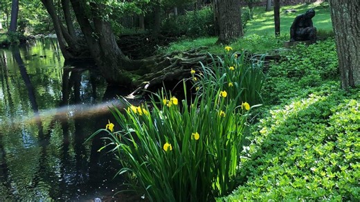 Here's your one chance to visit these 5 private North Jersey gardens