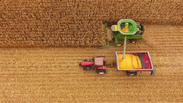 ECO and Crop Insurance - farmdoc