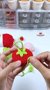 Watermelon Handmade on Reels