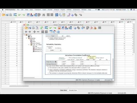 How to use SPSS for ICC calculation