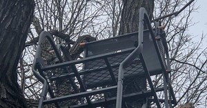 Tree stand falls can be bigger risk for hunters than firearms