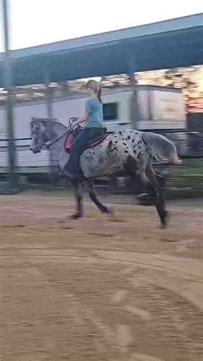 POV: How riding has been talking lately. #western #horseriding #equestrian