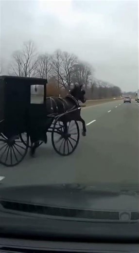 Amish Buggy vs Highway Traffic – Unbelievable Footage!