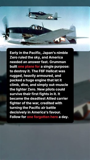 The Fighter Built for One Job — Kill the Zero
