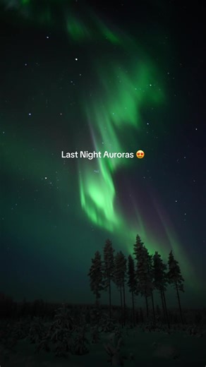 Experience the Northern Lights in Finnish Lapland