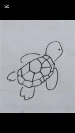 Cute Turtle Drawing 🐢✏️ | Easy Sketch for Beginners | #shorts