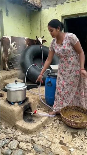 She Cooks with Cow Waste! 🤯 Clean Energy in Rural India