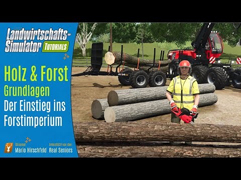 LS25 Tutorial: Holz und Forst für Einsteiger – Sägen, Transport & Wirtschaftlichkeit