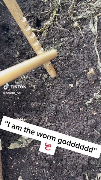 Worm Vibration Trick Revealed! Watch the Worms Surface