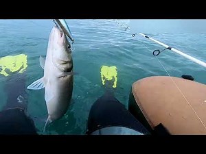 fishing in the sea you carried a float tube