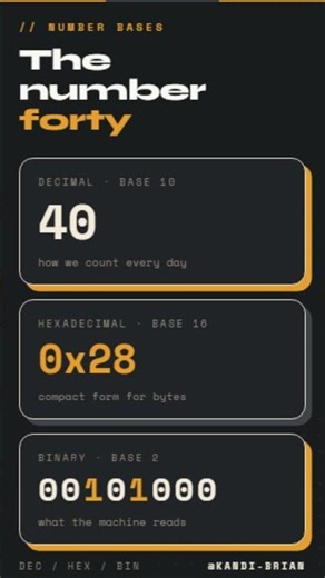 Number Forty in Binary, Hexadecimal, and Decimal