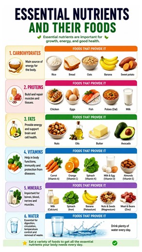 Are You Missing These 6 Essential Nutrients? 😲 | Best Foods for Complete Nutrition #healthylifestyle