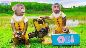 69K views · 1.3K reactions | Smart baby monkey Obi drives a truck through a wormhole | Julius Monkeys | Facebook