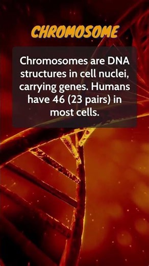 5 Important Terms In Genetic #genetics #dna #dnatest