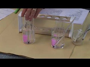 GCSE Biology Required Practical 10 - Decay & Temperature