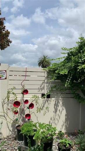 Signs are everywhere..