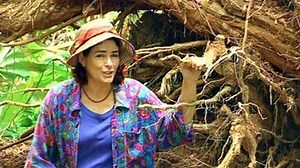 Planning For Cyclones - Gardening Australia