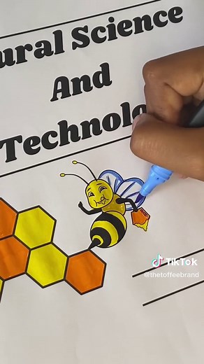 Creative School Project Cover Page Ideas