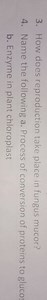 3. How does reproduction take place in fungus mucor?4. Name th... | Filo