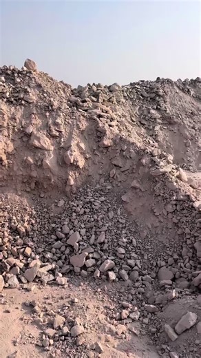 Mass Production of Toilet Seats in a Factory Setting