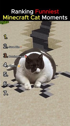 Ranking Funniest Minecraft Cat Moments!