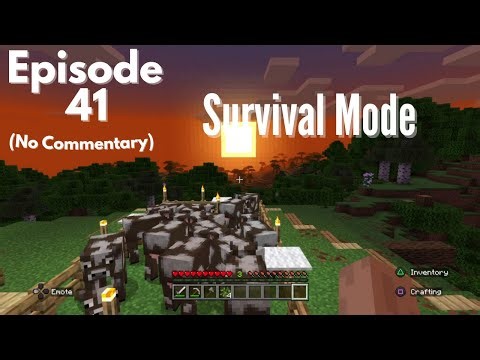 Minecraft PS4 Survival Mode, Episode 41 No Commentary