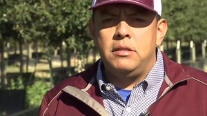 Special tree holds place of honor over Pres. George HW Bush